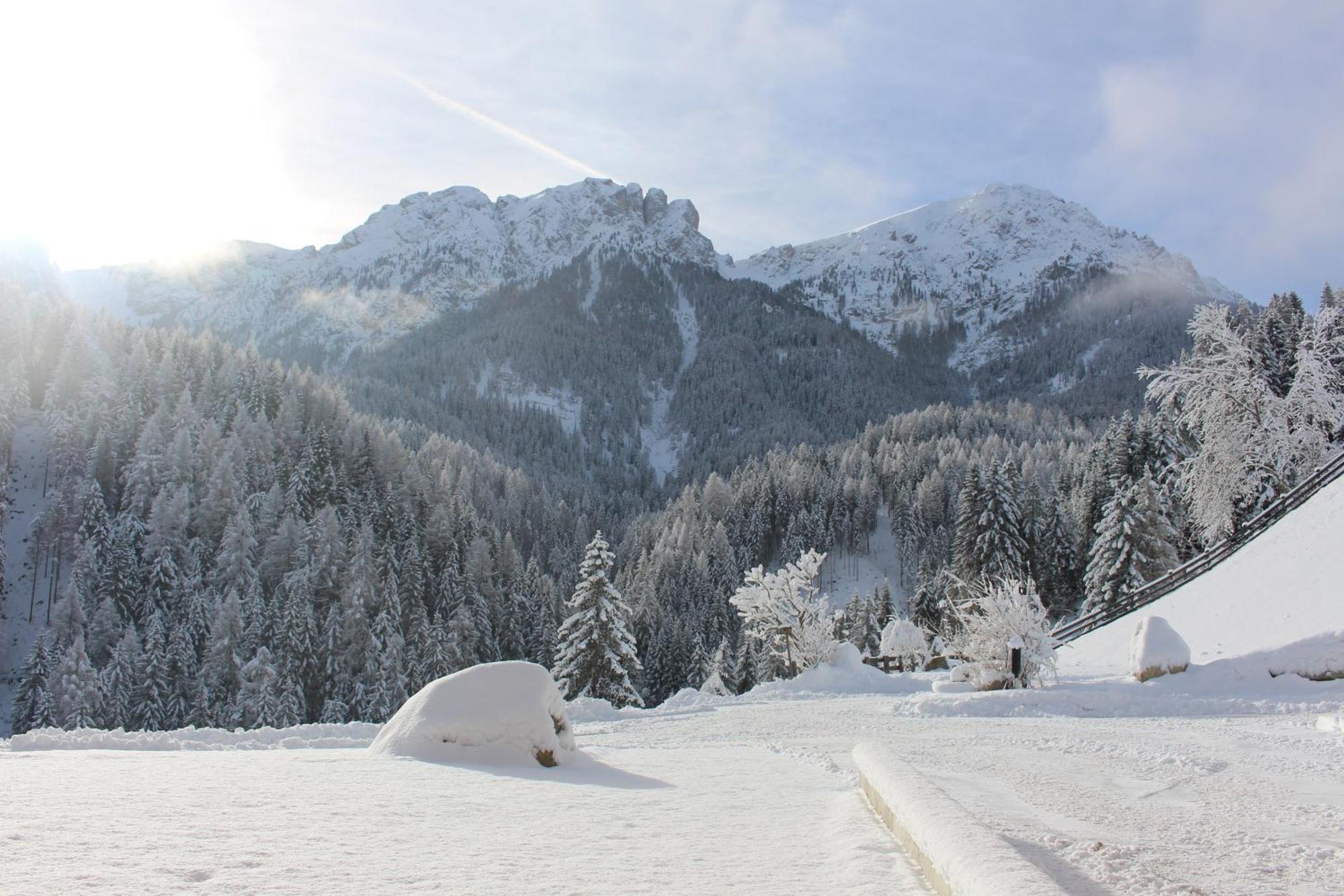 Almresidenz Unterrain Zum Hartl -1 Km By Car Distance Ski Slopes Kronplatz Olang Екстериор снимка