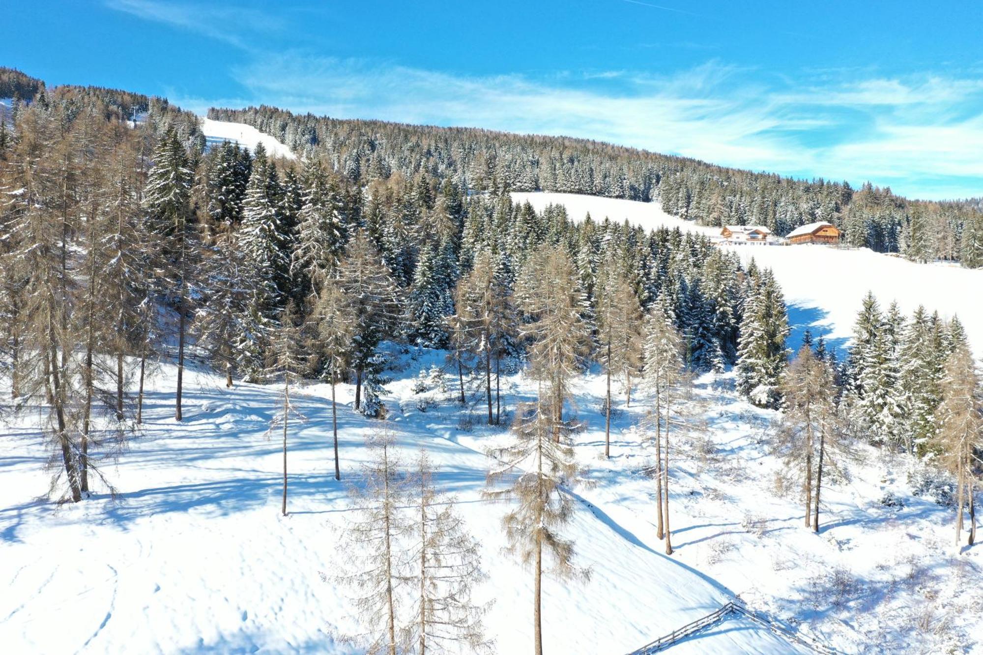 Almresidenz Unterrain Zum Hartl -1 Km By Car Distance Ski Slopes Kronplatz Olang Екстериор снимка